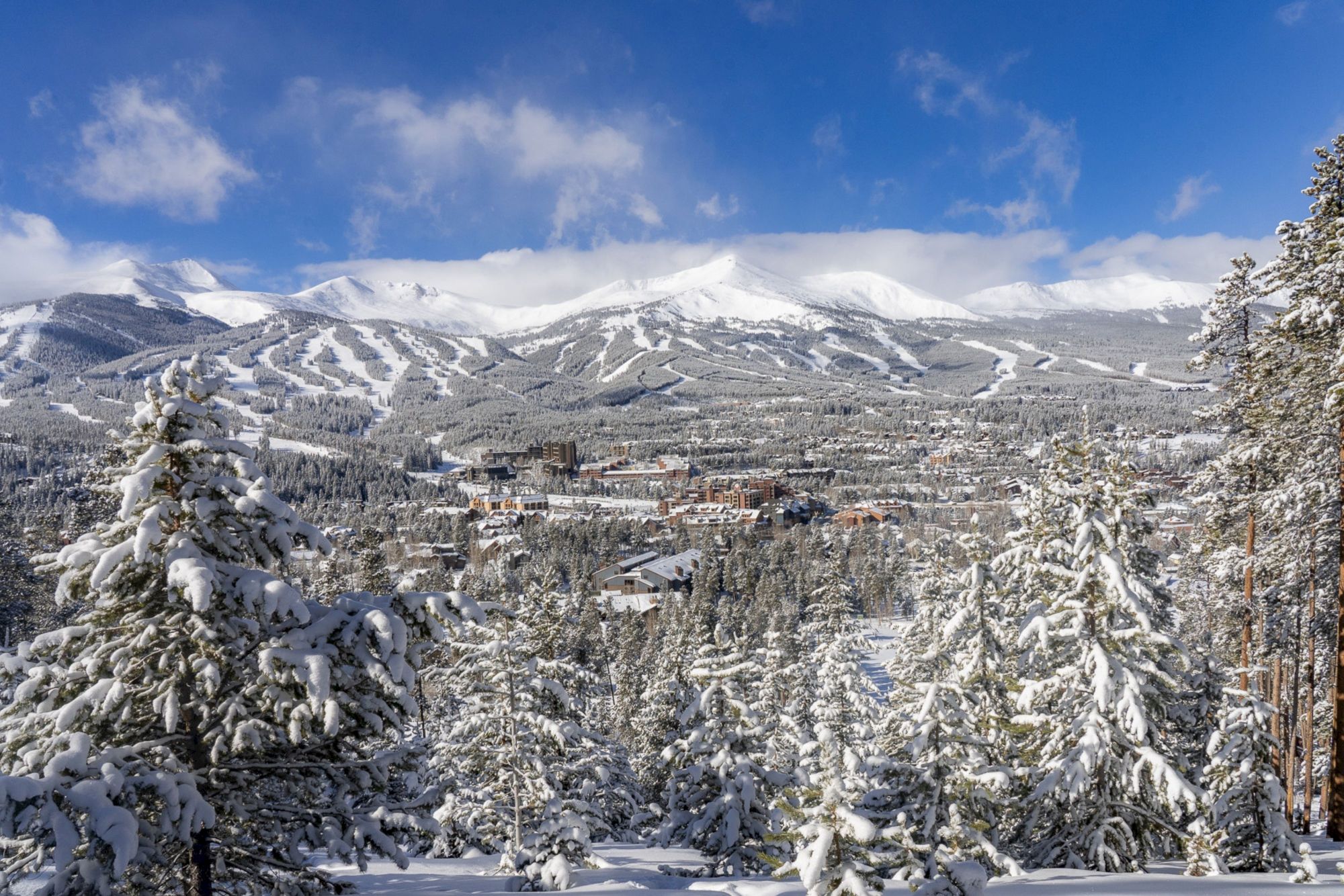 Snowy mountain valley with pine trees, ski runs, and a small town under a bright blue sky.